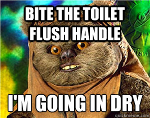 bite the toilet flush handle i'm going in dry
  