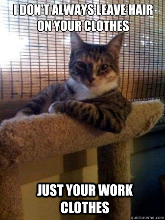 I don't always leave hair
on your clothes just your work clothes  The Most Interesting Cat in the World