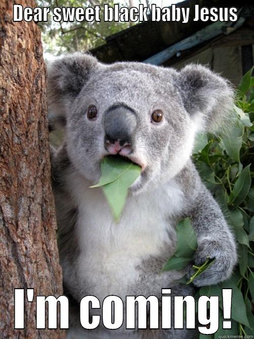 DEAR SWEET BLACK BABY JESUS I'M COMING! koala bear