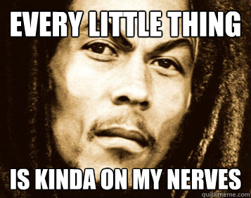 every little thing is kinda on my nerves - every little thing is kinda on my nerves  Angry Bob Marley