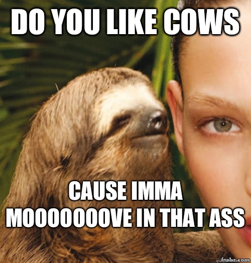 Do You Like Cows  Cause Imma Mooooooove In That Ass   rape sloth