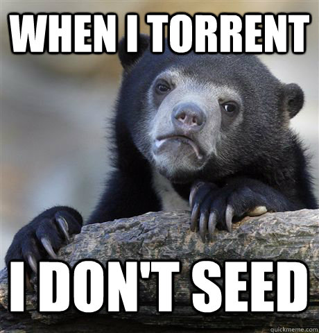 WHEN I TORRENT I DON'T SEED  Confession Bear