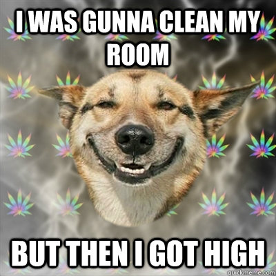 I was gunna clean my room but then i got high - I was gunna clean my room but then i got high  Stoner Dog