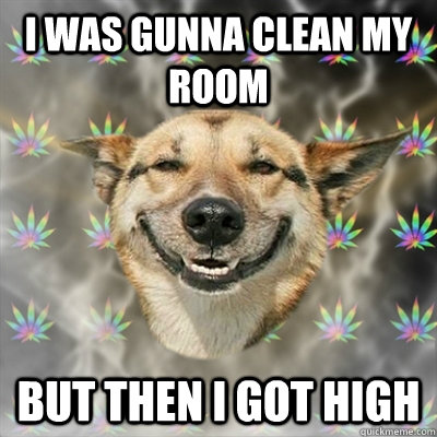 I was gunna clean my room but then i got high  Stoner Dog