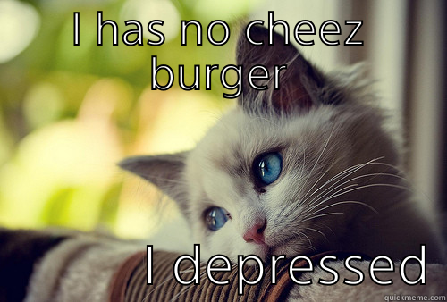 I HAS NO CHEEZ BURGER            I DEPRESSED First World Problems Cat
