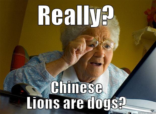 REALLY? CHINESE LIONS ARE DOGS? Grandma finds the Internet