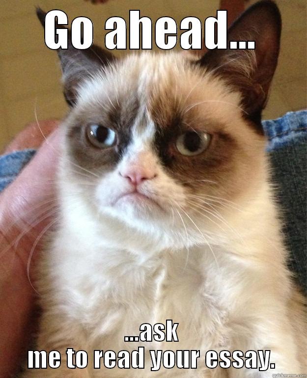 GO AHEAD... ...ASK ME TO READ YOUR ESSAY. Misc