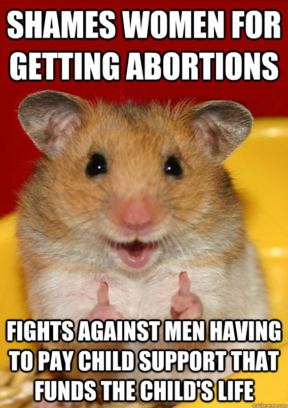Shames women for getting abortions fights against men having to pay child support that funds the child's life   Rationalization Hamster