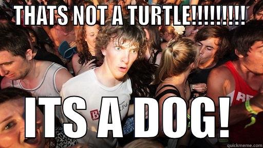 THATS NOT A TURTLE!!!!!!!!! ITS A DOG! Sudden Clarity Clarence