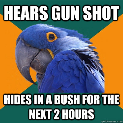 Hears Gun shot hides in a bush for the next 2 hours  Paranoid Parrot