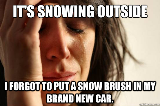 It's snowing outside I forgot to put a snow brush in my brand new car.  First World Problems