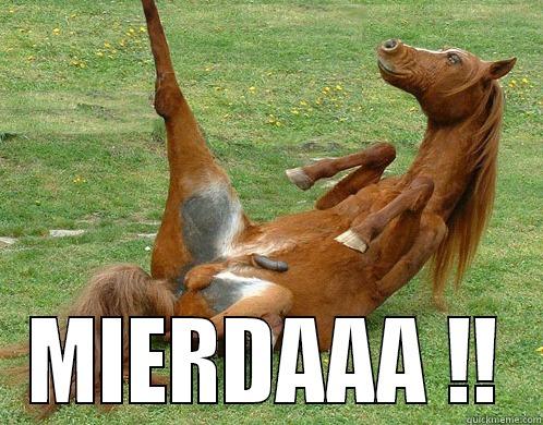  MIERDAAA !! Misc