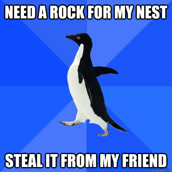 Need a rock for my nest steal it from my friend  Socially Awkward Penguin