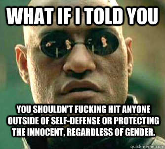 What if i told you You shouldn't fucking hit anyone outside of self-defense or protecting the innocent, regardless of gender.  WhatIfIToldYouBing