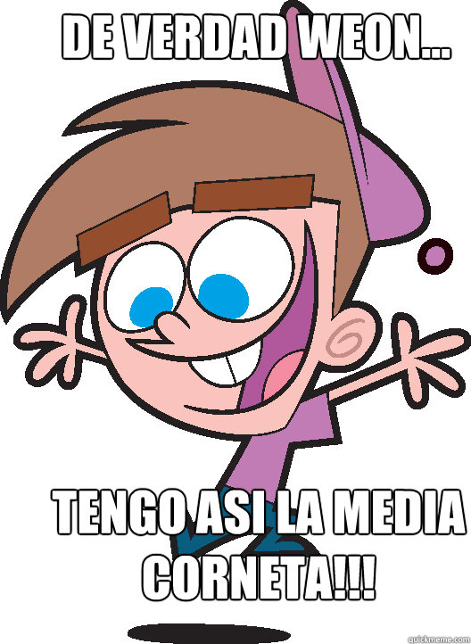DE VERDAD WEON... TENGO ASI LA MEDIA CORNETA!!!  Timmyturner