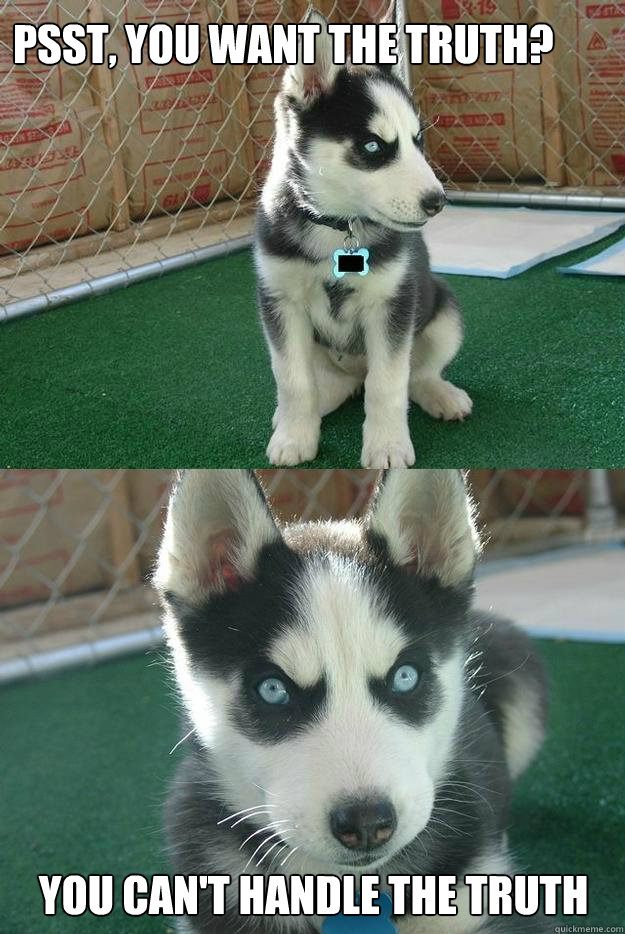 Psst, you want the truth? you can't handle the truth  Insanity puppy