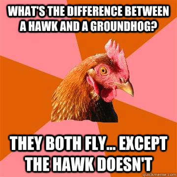 What's the difference between a hawk and a groundhog? They both fly... except the hawk doesn't  Anti-Joke Chicken