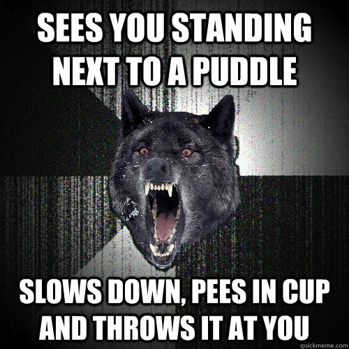 sees you standing next to a puddle slows down, pees in cup and throws it at you  Insanity Wolf