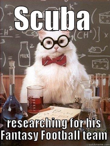 SCUBA RESEARCHING FOR HIS FANTASY FOOTBALL TEAM Chemistry Cat
