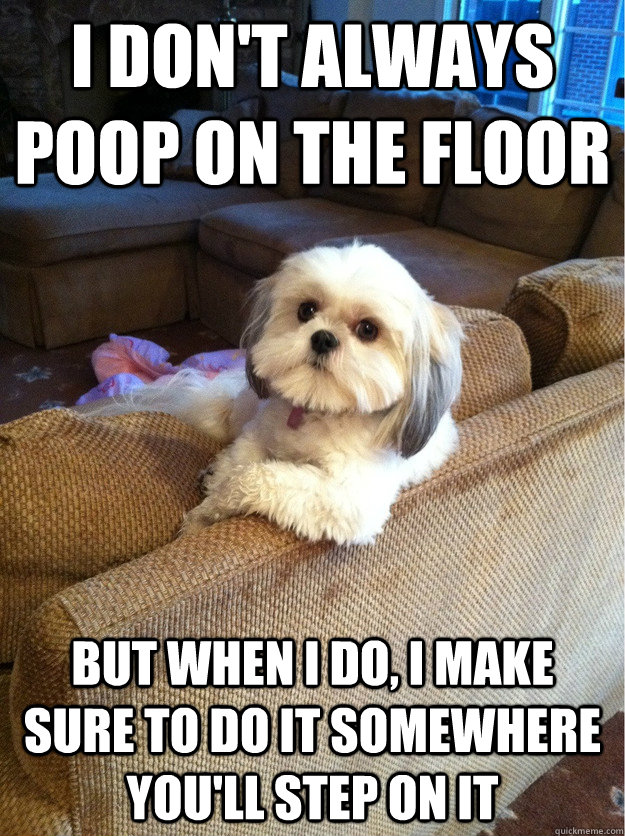 I don't always poop on the floor but when i do, i make sure to do it somewhere you'll step on it - I don't always poop on the floor but when i do, i make sure to do it somewhere you'll step on it  Misc