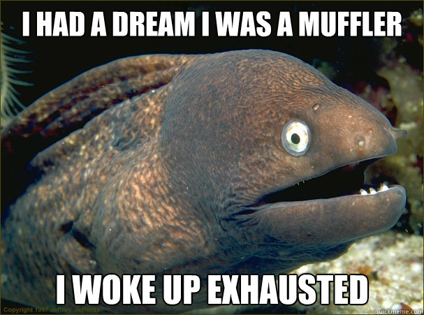 I had a dream I was a muffler I woke up exhausted  Bad Joke Eel