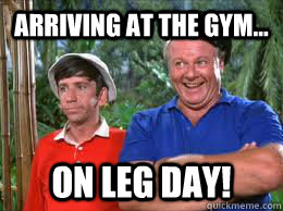 Arriving at the gym... on LEG DAY! - Arriving at the gym... on LEG DAY!  Gilligan and Skipper