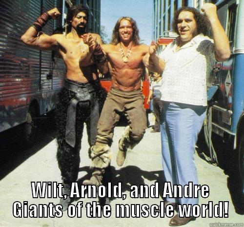  WILT, ARNOLD, AND ANDRE GIANTS OF THE MUSCLE WORLD! Misc