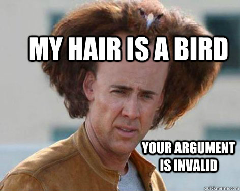 my hair is a bird your argument is invalid  Crazy Nicolas Cage