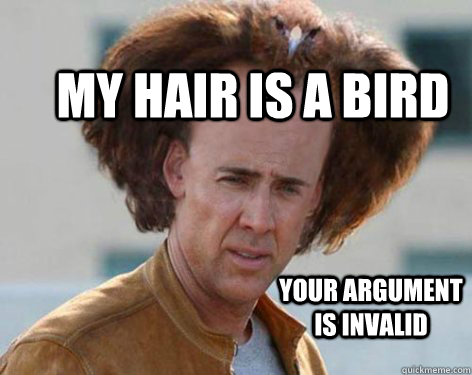 my hair is a bird your argument is invalid  Crazy Nicolas Cage