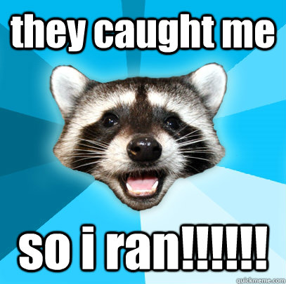 they caught me so i ran!!!!!!  Lame Pun Coon