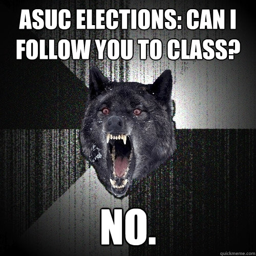 ASUC Elections: Can I follow you to class? NO.  Insanity Wolf
