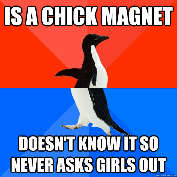 Is a chick magnet Doesn't know it so never asks girls out  Socially Awesome Awkward Penguin