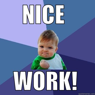 NICE  WORK! Success Kid