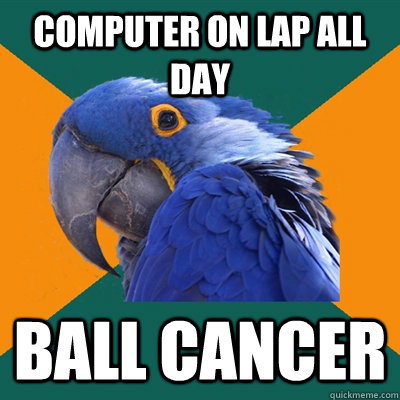 Computer on lap all day BALL Cancer  Paranoid Parrot