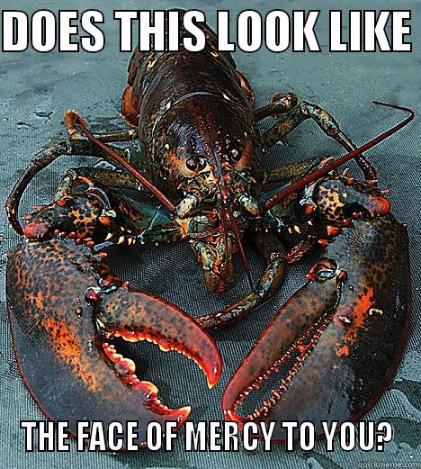 Scary Lobster - DOES THIS LOOK LIKE  THE FACE OF MERCY TO YOU? Misc