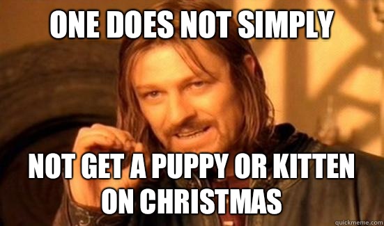 One Does Not Simply Not get a puppy or kitten on Christmas   Boromir