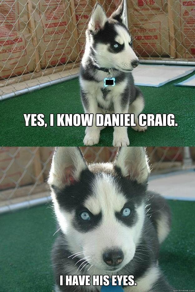 Yes, I know Daniel Craig. I have his eyes.  Insanity puppy