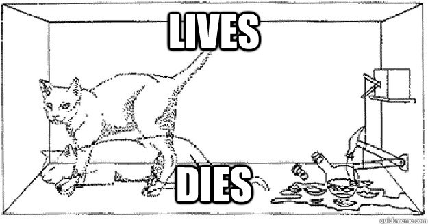 Lives dies - Lives dies  Freshman Schrodingers Cat