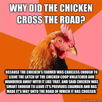 Why did the chicken cross the road? Because the chicken's farmer was careless enough to leave the latch of the chicken coop unlatched and wandered away with it like that, and said chicken was smart enough to leave it's previous chamber and has made it's w  Anti-Joke Chicken