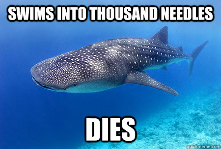 swims into thousand needles dies  