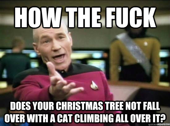 How the fuck does your Christmas tree not fall over with a cat climbing all over it?  Annoyed Picard HD