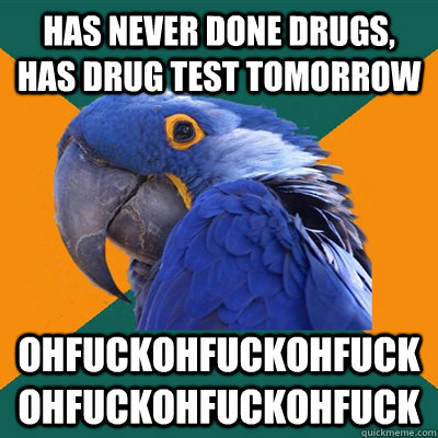 has never done drugs, has drug test tomorrow ohfuckohfuckohfuckohfuckohfuckohfuck  Paranoid Parrot