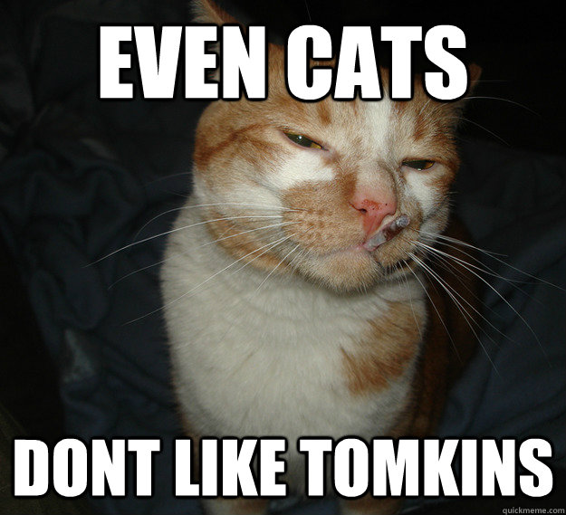 even cats dont like tomkins  Cool Cat Craig