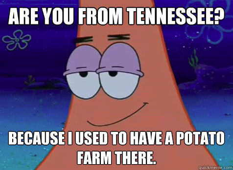 are you from Tennessee? because i used to have a potato farm there.  