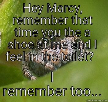 HEY MARCY, REMEMBER THAT TIME YOU THE A SHOE AT ME AND I FEEL IN THE TOILET?   I REMEMBER TOO... Misunderstood Spider