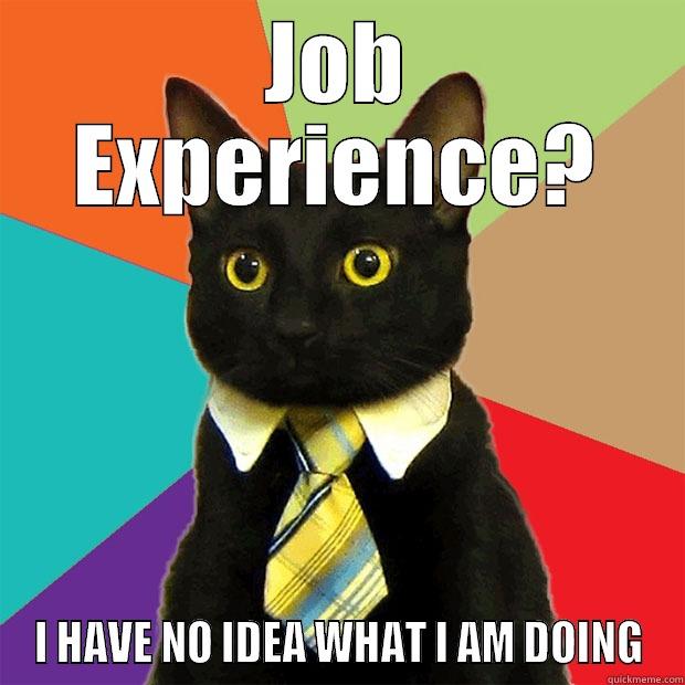 JOB EXPERIENCE? I HAVE NO IDEA WHAT I AM DOING Business Cat