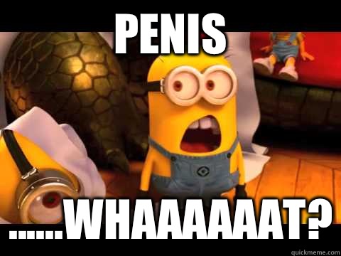 Penis ......Whaaaaaat? - Penis ......Whaaaaaat?  minion