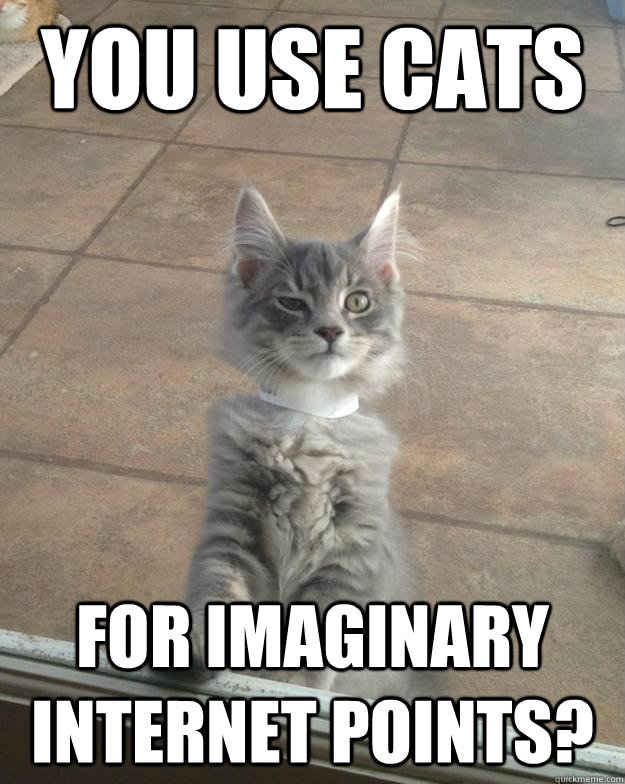 You use cats for imaginary internet points?  