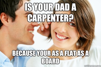 Is your dad a carpenter? Because your as a flat as a board  Bad Pick-up line Paul