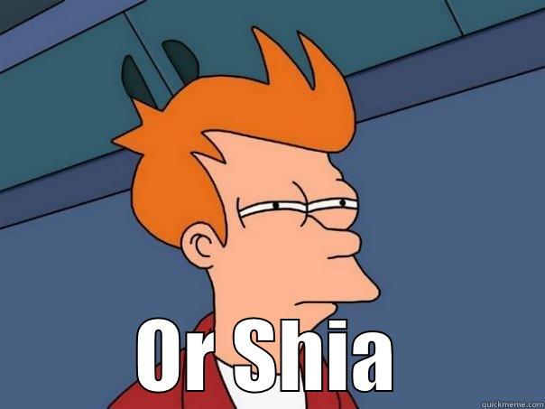  OR SHIA Futurama Fry